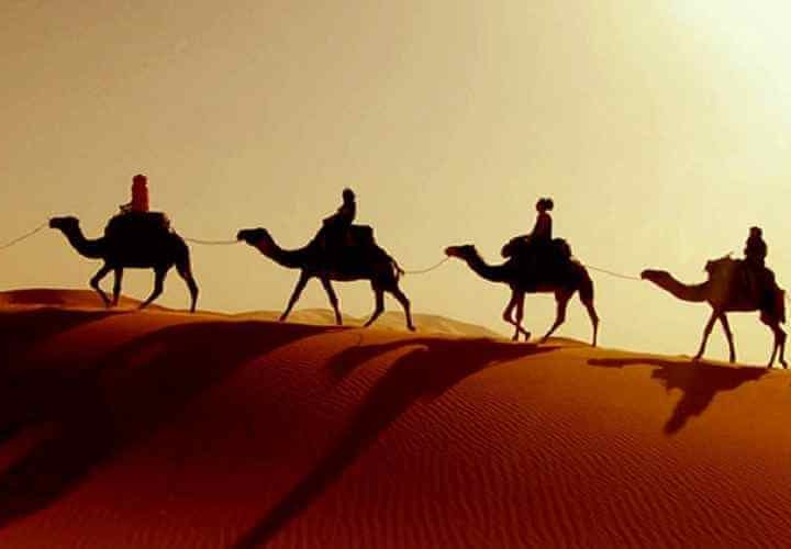 vip desert safari dubai dubai desert safari tour