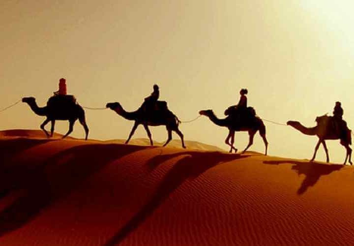 vip desert safari dubai dubai desert safari tour